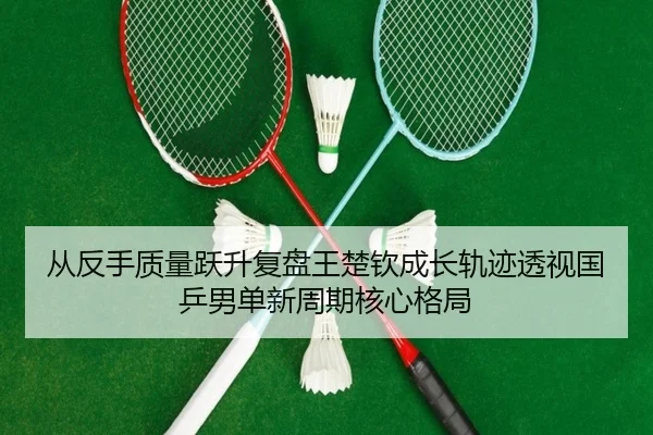从反手质量跃升复盘王楚钦成长轨迹透视国乒男单新周期核心格局